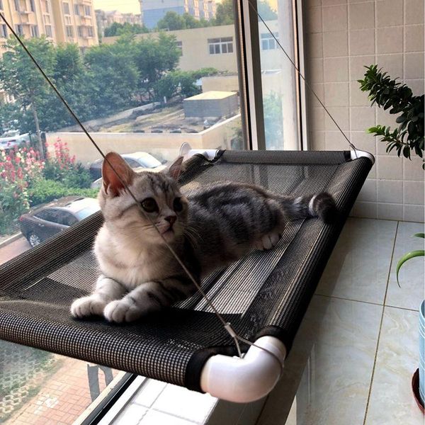 cat beds & furniture cute hanging comfortable sunny seat window mount pet hammock soft shelf supplies detachable bearing
cat beds & furniture cute hanging comfortable sunny seat window mount pet hammock soft shelf supplies detachable bearing