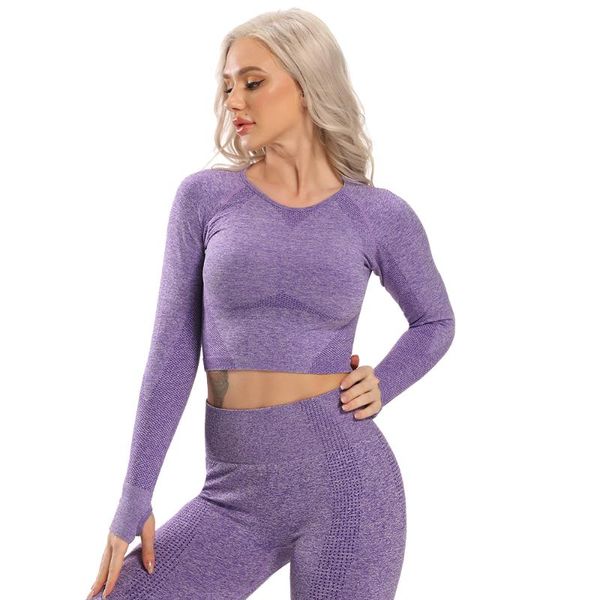yoga outfit seamless long sleeve workout for women fitness crop short active sportswear women's shirt gym clothing
yoga outfit seamless long sleeve workout for women fitness crop short active sportswear women's shirt gym clothing