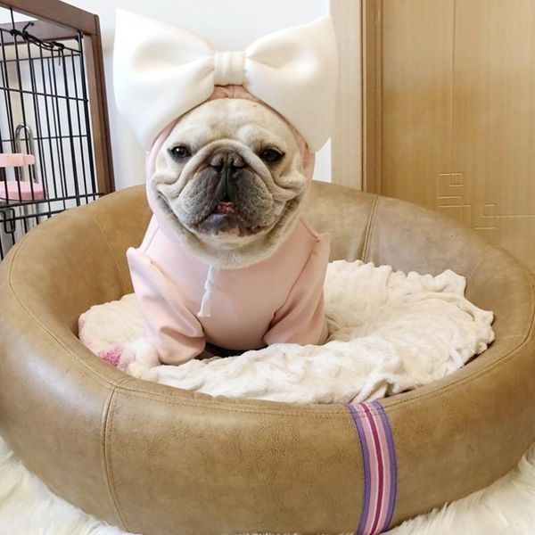 dog apparel pets products dogs supplies fashion wear for small puppy and frenchie pug big bow tie on hat cute hoodies
dog apparel pets products dogs supplies fashion wear for small puppy and frenchie pug big bow tie on hat cute hoodies