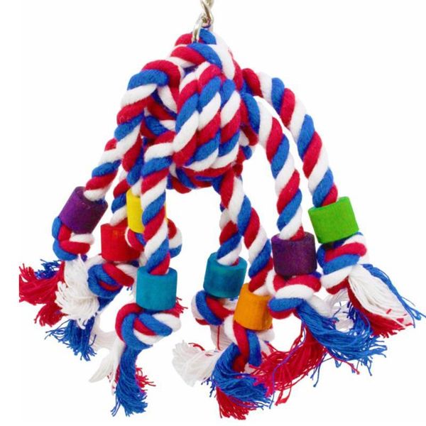 other bird supplies pet cage accessories standing swing budgie parakeet training gift hanging colorful parrot perch chew toy
other bird supplies pet cage accessories standing swing budgie parakeet training gift hanging colorful parrot perch chew toy