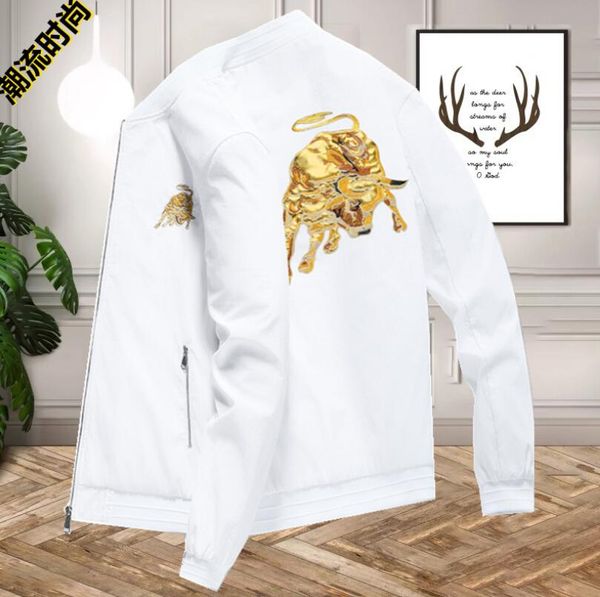 new jacket men's baseball uniform embroidered spring and autumn trend plus size casual korean jackets, Black;brown
new jacket men's baseball uniform embroidered spring and autumn trend plus size casual korean jackets, Black;brown