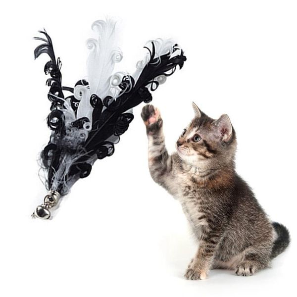 cat toys toy attachment interactive faux feather kitten teaser wand funny refill favors pet supplies
cat toys toy attachment interactive faux feather kitten teaser wand funny refill favors pet supplies