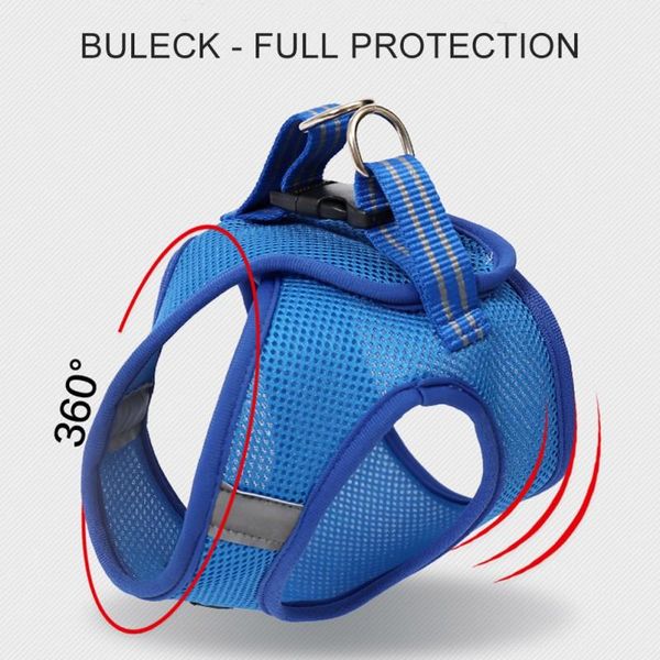 2021breathable and anti-breakaway cat with tethered rope chain traction chest strap dog collars & leashes
2021breathable and anti-breakaway cat with tethered rope chain traction chest strap dog collars & leashes