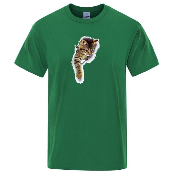running jerseys kitten reaching for something print man's t shirts crewneck s-xxxl fashion soft men's t-shirts summer breathable, Black;blue
running jerseys kitten reaching for something print man's t shirts crewneck s-xxxl fashion soft men's t-shirts summer breathable, Black;blue