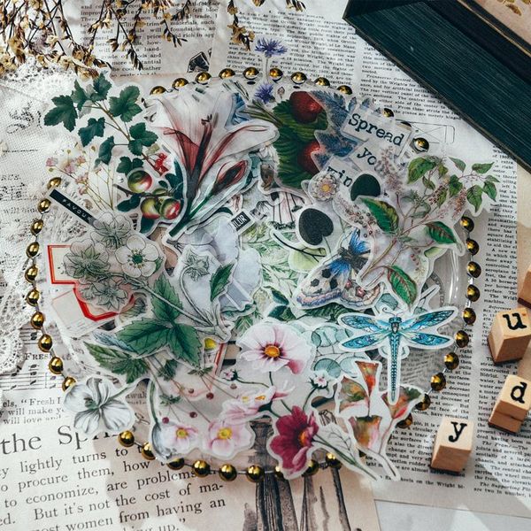 50pcs vintage plants flowers butterfly vellum paper stickers for scrapbooking happy planner/card making/journaling project craft tools
50pcs vintage plants flowers butterfly vellum paper stickers for scrapbooking happy planner/card making/journaling project craft tools