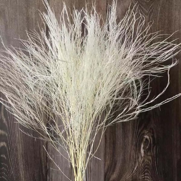 decorative flowers & wreaths about 40cm/10pcs real dried natural preserved feather grass,dry arundinacea eternelle,home decor,wedding decora
decorative flowers & wreaths about 40cm/10pcs real dried natural preserved feather grass,dry arundinacea eternelle,home decor,wedding decora