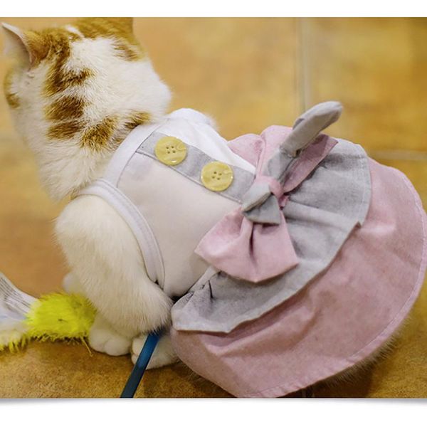 dog apparel cute elegant cat vest dress with bowknot pet princess set pink flower comfortable simple clothes
dog apparel cute elegant cat vest dress with bowknot pet princess set pink flower comfortable simple clothes