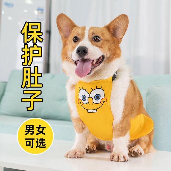 dog's belly pocket cocky dog's protection clothing autumn winter warm summer raincoat pet waterproof thin
dog's belly pocket cocky dog's protection clothing autumn winter warm summer raincoat pet waterproof thin