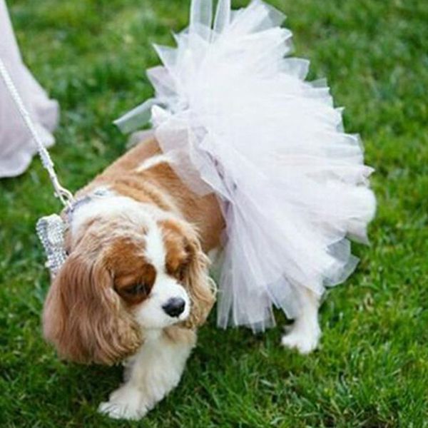 pet dog clothing halloween pet skirt suppli solid color mh tutu skirt cat