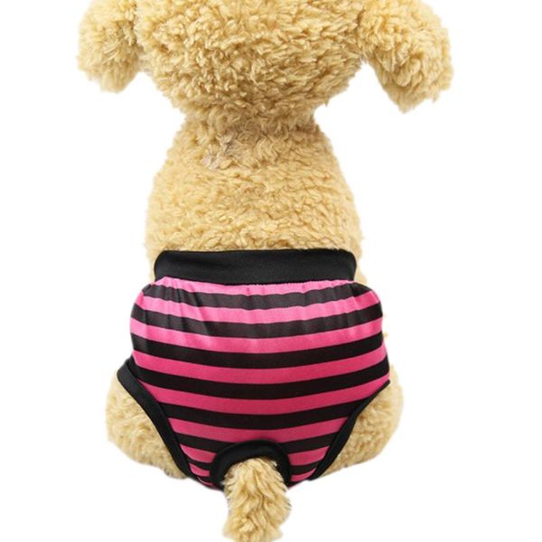 dog apparel pet products cat clothing for small dogs cats physiological pants striped breathable underwear
dog apparel pet products cat clothing for small dogs cats physiological pants striped breathable underwear