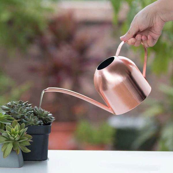 watering equipments stainless steel long spout can flowerpot garden flower vase bucket pot kettle for home decoration
watering equipments stainless steel long spout can flowerpot garden flower vase bucket pot kettle for home decoration