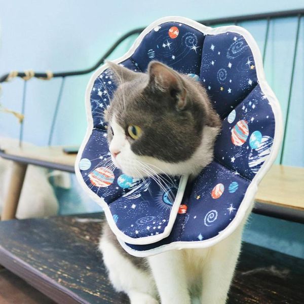 cat collars & leads pet circle anti-bite delicate waterproof anti-licking breathable star protective collar
cat collars & leads pet circle anti-bite delicate waterproof anti-licking breathable star protective collar