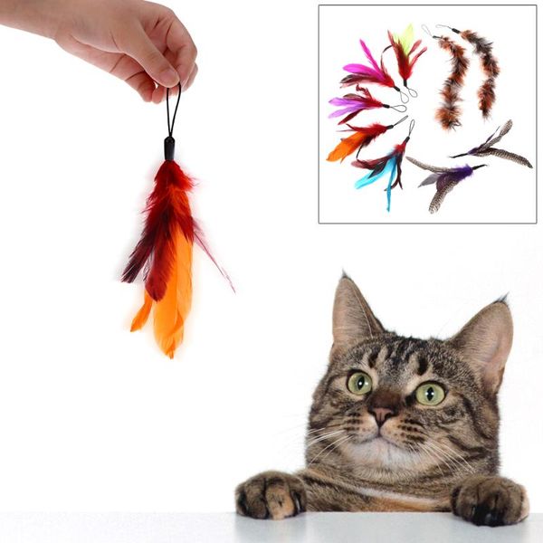 cat toys 9pcs pet toy luxury colorful natural feather kitten teaser replacement refill for rod wand p
cat toys 9pcs pet toy luxury colorful natural feather kitten teaser replacement refill for rod wand p