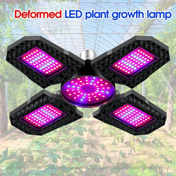 grow light e27 foldable full spectrum plant growing lamps bulb for indoor plants three leaf folding lights
grow light e27 foldable full spectrum plant growing lamps bulb for indoor plants three leaf folding lights