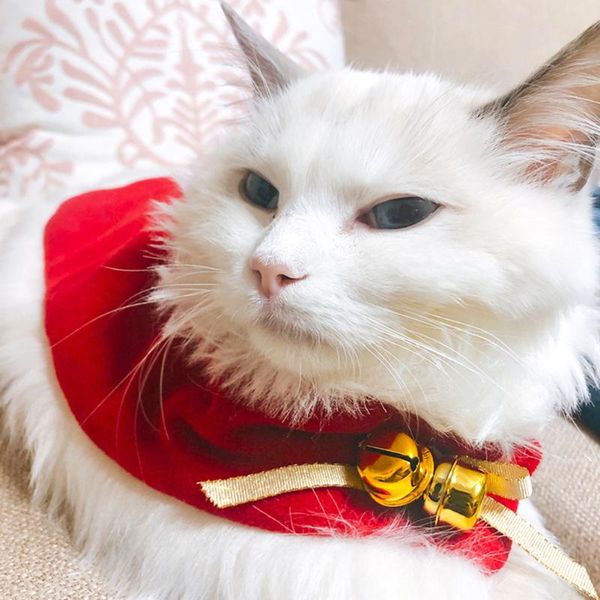 cat costumes christmas dog clothes set small cloak santa claus costume pet kitten clothing warm hat shawl with neck bellÂ
cat costumes christmas dog clothes set small cloak santa claus costume pet kitten clothing warm hat shawl with neck bellÂ