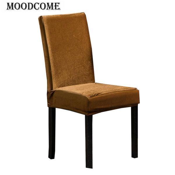 chair covers champagne gold el cover dining soft elastic velvet spandex arrival drop for
chair covers champagne gold el cover dining soft elastic velvet spandex arrival drop for