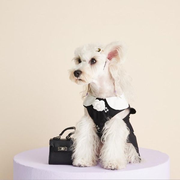 elegant pet dog princess dress summer puppy skirt clothes cool clothing dogs schnauzer pomeranian yorkie classic apparel
elegant pet dog princess dress summer puppy skirt clothes cool clothing dogs schnauzer pomeranian yorkie classic apparel