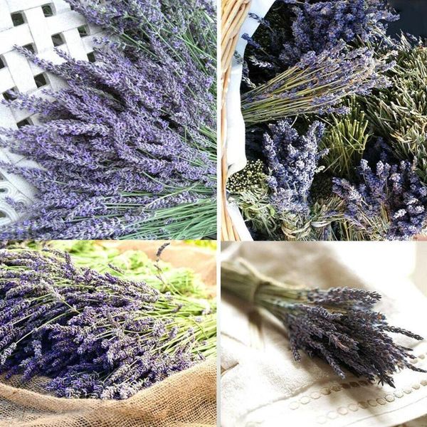 bunch lavender natural flower bouquet real wedding flowers diy dried party decoration home plants bundl o4r5 decorative & wreaths
bunch lavender natural flower bouquet real wedding flowers diy dried party decoration home plants bundl o4r5 decorative & wreaths