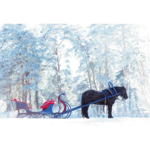 party decoration winter forest landscape backdrop horse sled pography background baby shower year po booth studio prop
party decoration winter forest landscape backdrop horse sled pography background baby shower year po booth studio prop