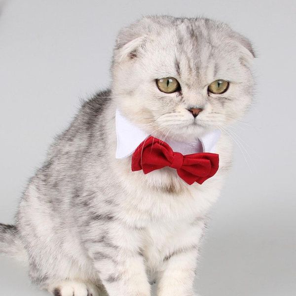 adjustable puppy dogs bow tie collar necktie bowknot bowtie neck strap cat dog grooming accessories decoration pet supply apparel
adjustable puppy dogs bow tie collar necktie bowknot bowtie neck strap cat dog grooming accessories decoration pet supply apparel