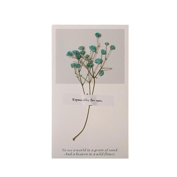 creative greeting small fresh invitation mother's day decorative for thanksgiving (blue gypsophila) cards
creative greeting small fresh invitation mother's day decorative for thanksgiving (blue gypsophila) cards