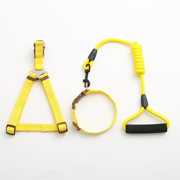 dog collars & leashes tool leash set harness lead for small large dogs pet collar size s outdoor
dog collars & leashes tool leash set harness lead for small large dogs pet collar size s outdoor