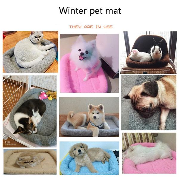 kennels & pens pet mat dog bed soft cat house thicken lambs plush nest sleeping cushion for small medium large dogs supplies
kennels & pens pet mat dog bed soft cat house thicken lambs plush nest sleeping cushion for small medium large dogs supplies