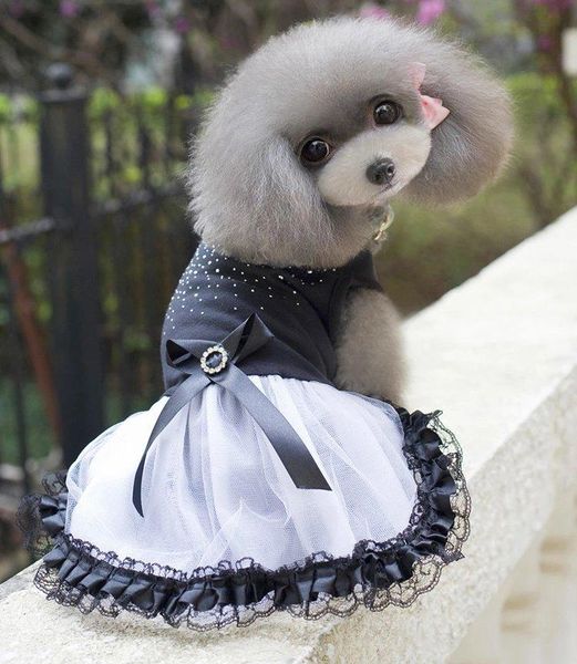 dog apparel glitter bow lace princess tutu dress bubble skirt pet clothes puppy costume
dog apparel glitter bow lace princess tutu dress bubble skirt pet clothes puppy costume