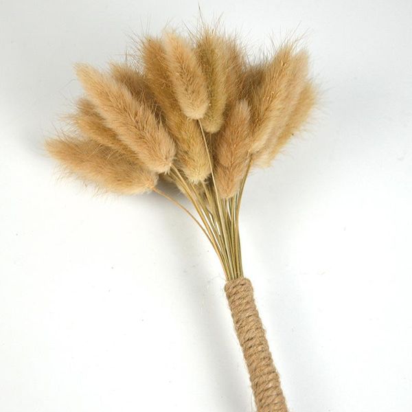 decorative flowers & wreaths 30pcs lagurus ovatus natural dried tail grass real wedding home decoration plants bouquets
decorative flowers & wreaths 30pcs lagurus ovatus natural dried tail grass real wedding home decoration plants bouquets