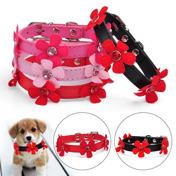 dog collars & leashes necklace collar acrylic color diamond sun flower pet rhinestone chain
dog collars & leashes necklace collar acrylic color diamond sun flower pet rhinestone chain