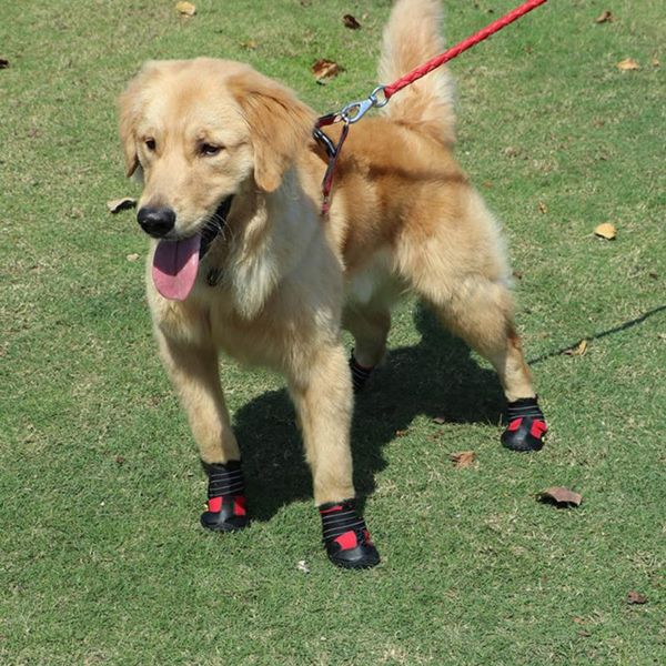 dog apparel pet shoes non-slip wear-resistant waterproof rain boots for small medium large dogs bdf99
dog apparel pet shoes non-slip wear-resistant waterproof rain boots for small medium large dogs bdf99