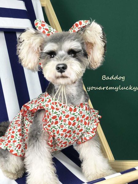dog apparel cats floral skirt for clothes with headwear summer thin fabric blouse cute princess full body dress small medium
dog apparel cats floral skirt for clothes with headwear summer thin fabric blouse cute princess full body dress small medium