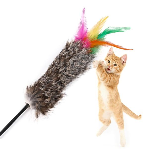 cat toys 1pc colorful teaser plastic play toy stick interactive for exercise playing pet supplies random color
cat toys 1pc colorful teaser plastic play toy stick interactive for exercise playing pet supplies random color