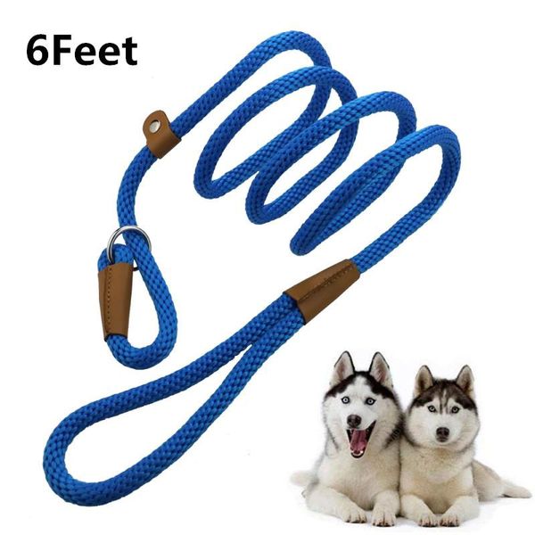 6feet dog leash nylon medium large pet and collar set outdoor training walking dogs leashes lead products collars &
6feet dog leash nylon medium large pet and collar set outdoor training walking dogs leashes lead products collars &