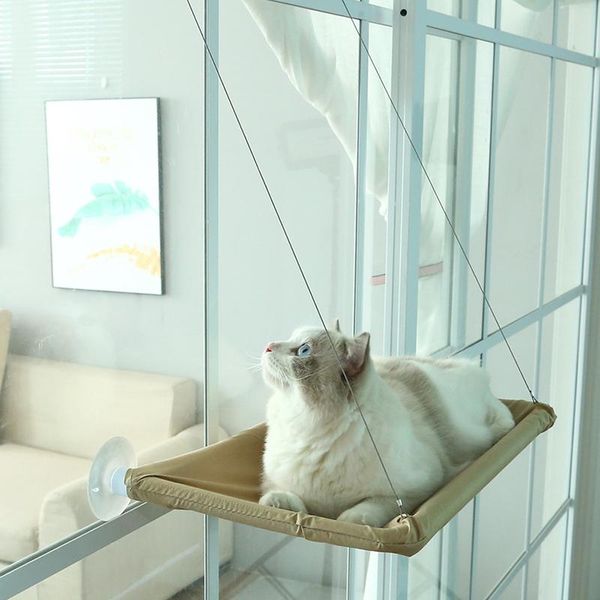 comfortable pet hanging beds for kittens cat window hammock sunny seat bed shelf super soft mat & furniture
comfortable pet hanging beds for kittens cat window hammock sunny seat bed shelf super soft mat & furniture