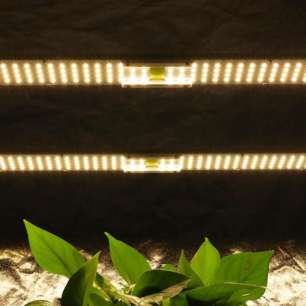 grow lights cover 2x4ft blooming and veg kingbrite 240w samsung lm301b/lm301h dimmable 3000k/3500k/4000k led light with meanwell driver
grow lights cover 2x4ft blooming and veg kingbrite 240w samsung lm301b/lm301h dimmable 3000k/3500k/4000k led light with meanwell driver