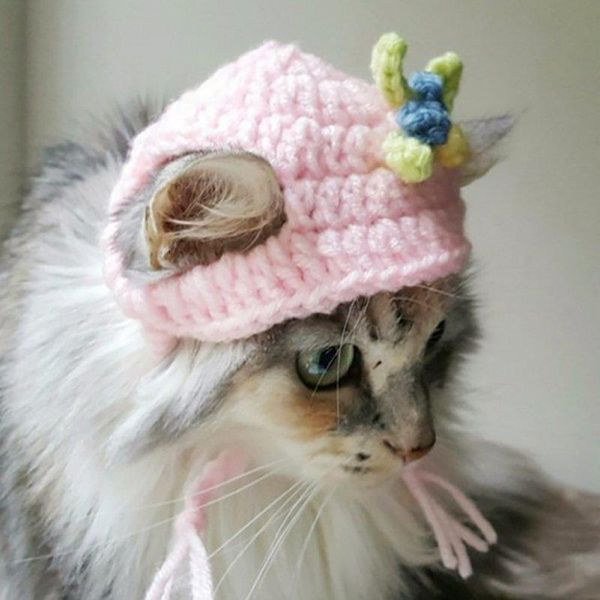 cat costumes winter autumn pet cap handmade knitting wool hat cute headwear puppy kitten small dog product
cat costumes winter autumn pet cap handmade knitting wool hat cute headwear puppy kitten small dog product