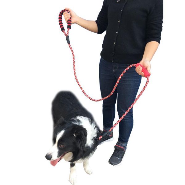dog collars & leashes multifunction durable soft comfortable non-slip reflective multi-color round leash large pet household supplies
dog collars & leashes multifunction durable soft comfortable non-slip reflective multi-color round leash large pet household supplies