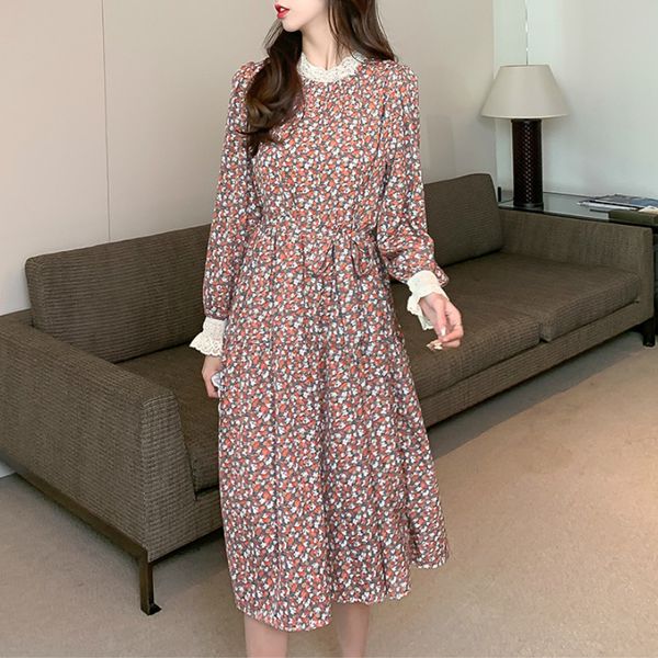 women chiffon dress two layers 2021 autumn winter fashion female long sleeve vintage printed casual dresses loose a-line vestido, Black;gray
women chiffon dress two layers 2021 autumn winter fashion female long sleeve vintage printed casual dresses loose a-line vestido, Black;gray