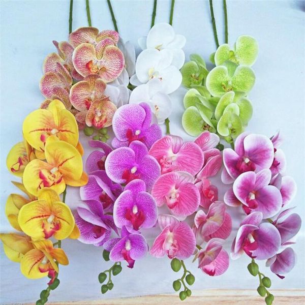 decorative flowers & wreaths 12pcs good qualit butterfly orchid 7 heads real touch phalaenopsis orchids latex for wedding artificial flower
decorative flowers & wreaths 12pcs good qualit butterfly orchid 7 heads real touch phalaenopsis orchids latex for wedding artificial flower