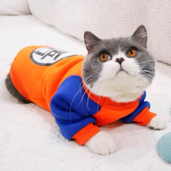 fashion pet cat costume summer vest hoodie cozy mascoats gotos clothes for cats katten coat kedi clothing sweatshirt costumes
fashion pet cat costume summer vest hoodie cozy mascoats gotos clothes for cats katten coat kedi clothing sweatshirt costumes