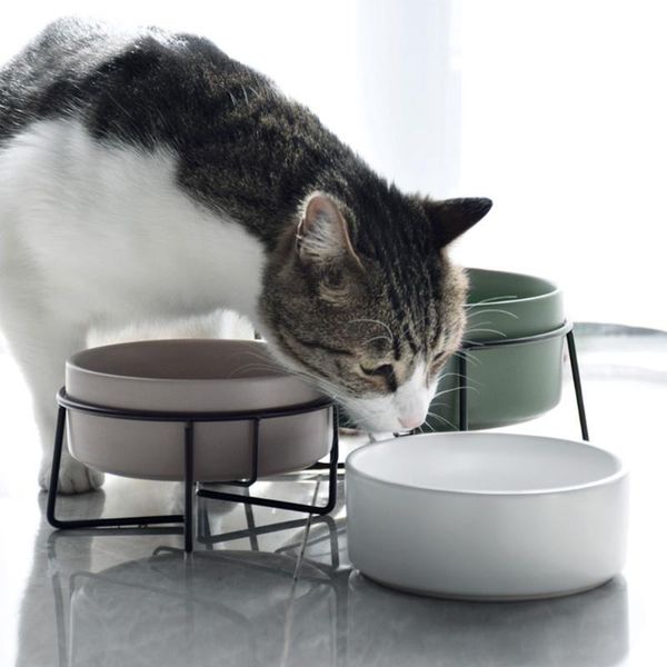 ceramic raised cat bowl pet with metal stand protect cervical spine feeding or water bowls & feeders
ceramic raised cat bowl pet with metal stand protect cervical spine feeding or water bowls & feeders