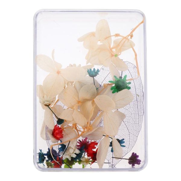 nail art decorations 1 box diy dried flower practical multi-functional decoration, Silver;gold
nail art decorations 1 box diy dried flower practical multi-functional decoration, Silver;gold