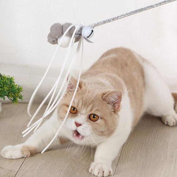 cat toys fairy funny stick long rod feather ribbon bite resistant self-hey with bell toy set combination
cat toys fairy funny stick long rod feather ribbon bite resistant self-hey with bell toy set combination