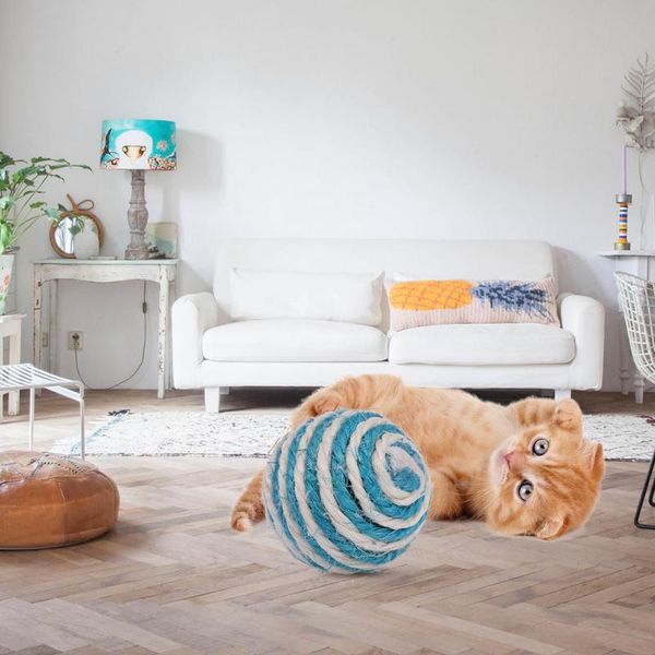 cat toys toy sisal ball 5cm scratch chew interactive pet for product random color
cat toys toy sisal ball 5cm scratch chew interactive pet for product random color