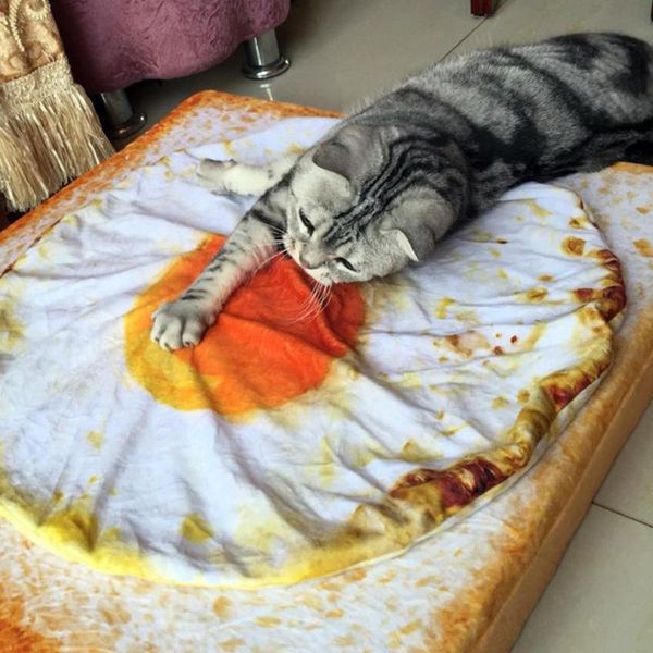 cat beds & furniture 40/60/100cm omelette pet blankets puppy short plush mat durable warm poached eggs blanket mats for small dog and
cat beds & furniture 40/60/100cm omelette pet blankets puppy short plush mat durable warm poached eggs blanket mats for small dog and