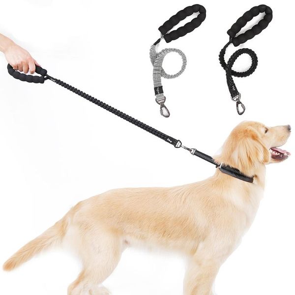 dog collars & leashes no slip anti buffer bungee pet lead leash for large dogs with control handle
dog collars & leashes no slip anti buffer bungee pet lead leash for large dogs with control handle