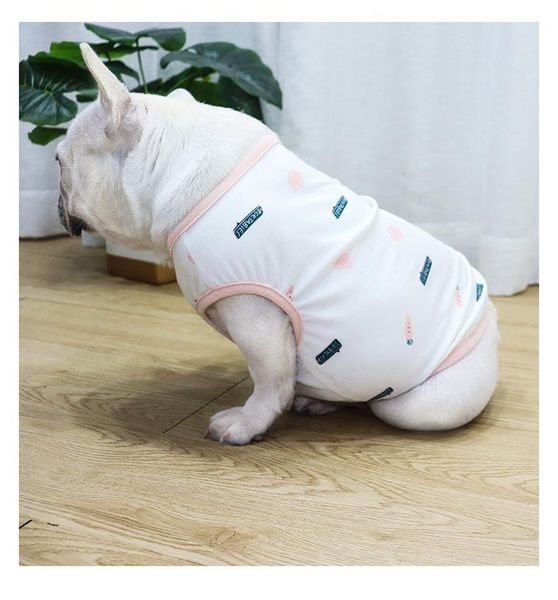 dog apparel summer sweater warm pet clothes sweaters for small dogs costume fashion cats jj60gwy
dog apparel summer sweater warm pet clothes sweaters for small dogs costume fashion cats jj60gwy
