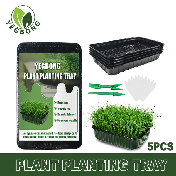 freight yegbong oem odm planters plant seedling basin flower transplantable vegetable fleshy planting plate
freight yegbong oem odm planters plant seedling basin flower transplantable vegetable fleshy planting plate