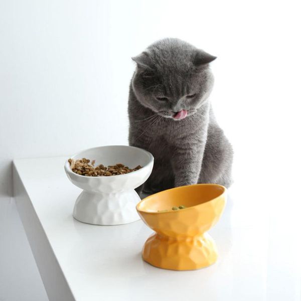 ceramics raised cat bowl slanted for stress angled less regurgitating and vomiting fping bowls & feeders
ceramics raised cat bowl slanted for stress angled less regurgitating and vomiting fping bowls & feeders